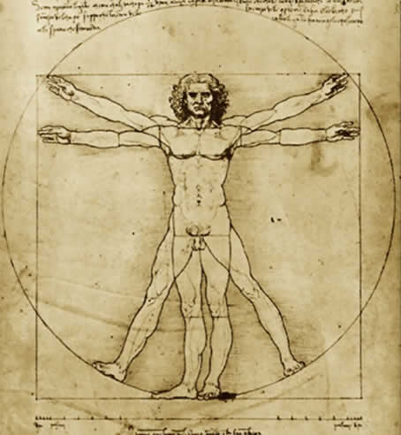 The Proportions of the Human Figure